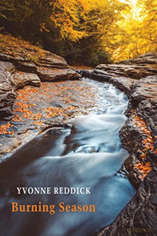 Burning Season - Yvonne Reddick [KSIĄŻKA]
