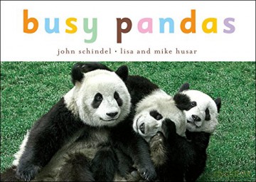 Busy Pandas - Lisa and Mike Husar [KSIĄŻKA]