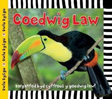 Coedwig Law - Sarah Powell [KSIĄŻKA]