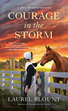 Courage in the Storm: 3 - Laurel [KSIĄŻKA]