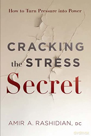 Cracking the Stress Secret: How to Turn Pressure Into Power - Amir A Rashidian [KSIĄŻKA]