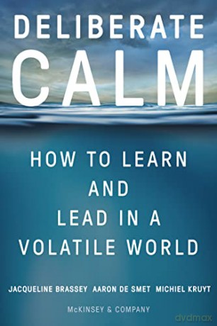Deliberate Calm: How to Learn and Lead in a Volatile World - Michiel Kruyt [KSIĄŻKA]