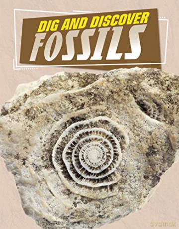 Dig and Discover Fossils - Anita Nahta Amin [KSIĄŻKA]