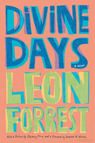 Divine Days: A Novel [KSIĄŻKA]
