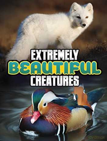 Extremely Beautiful Creatures - Megan Cooley Peterson [KSIĄŻKA]