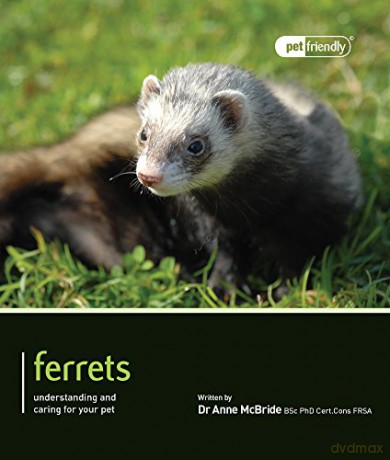 Ferrets - Pet Friendly - Anne McBride [KSIĄŻKA]