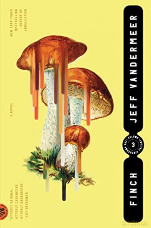 Finch: Jeff Vandermeer: 3 - Jeff VanderMeer [KSIĄŻKA]
