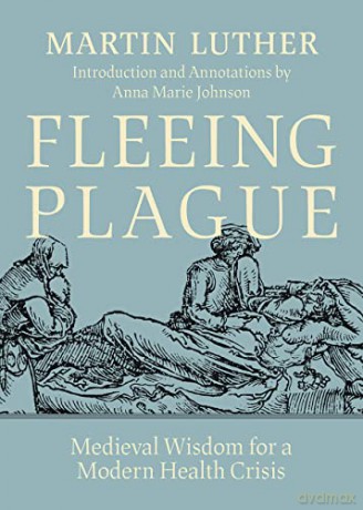 Fleeing Plague: Medieval Wisdom for a Modern Health Crisis - Anna Marie Johnson [KSIĄŻKA]