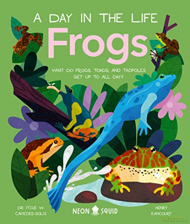 Frogs - Neon Squid [KSIĄŻKA]