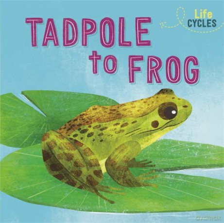 From Tadpole to Frog - Rachel Tonkin [KSIĄŻKA]