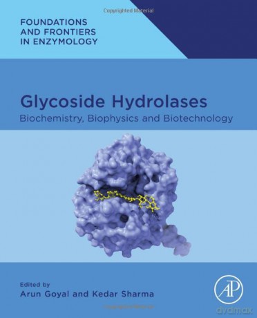 Glycoside Hydrolases: Biochemistry, Biophysics, and Biotechnology - Arun Goyal [KSIĄŻKA]