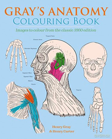 Gray's Anatomy Colouring Book: Images to Colour from the Classic 1860 Edition - Henry Carter [KSIĄŻKA]