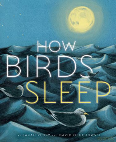 How Birds Sleep - David Obuchowski [KSIĄŻKA]
