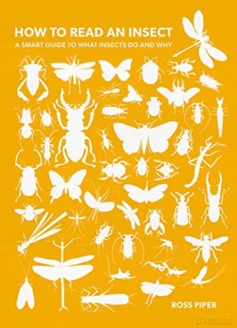 How to Read an Insect: A Smart Guide to What Insects Do and Why - Dr Ross Piper [KSIĄŻKA]
