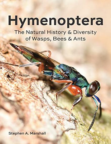 Hymenoptera: The Natural History and Diversity of Wasps, Bees and Ants - Stephen A Marshall [KSIĄŻKA]
