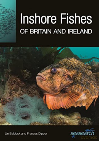 Inshore Fishes of Britain and Ireland: 33 - Frances Dipper [KSIĄŻKA]