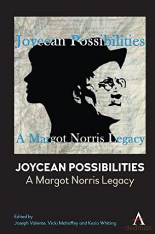 Joycean Possibilities: A Margot Norris Legacy [KSIĄŻKA]