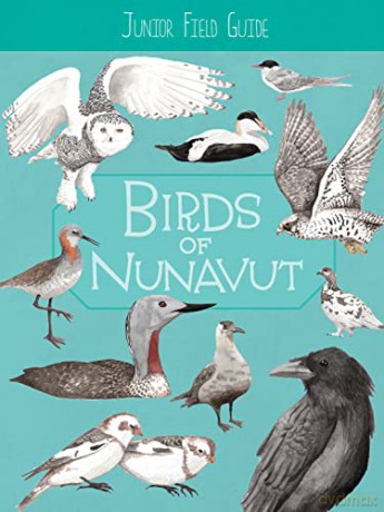 Junior Field Guide: Birds of Nunavut: English Edition - Carolyn Mallory [KSIĄŻKA]