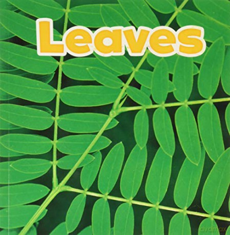 Leaves - Marissa Kirkman [KSIĄŻKA]