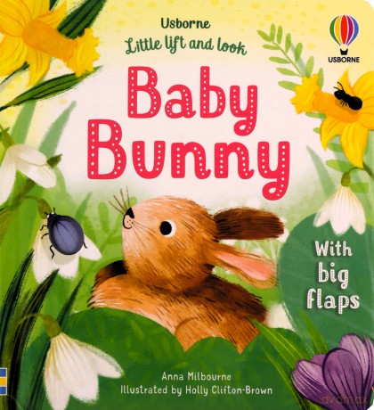 Little Lift and Look Baby Bunny - Anna Milbourne [KSIĄŻKA]