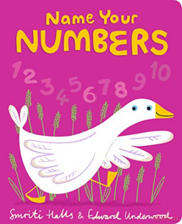 Name Your Numbers - Smriti Halls [KSIĄŻKA]