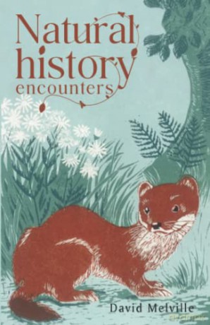 Natural History Encounters - D J Melville [KSIĄŻKA]