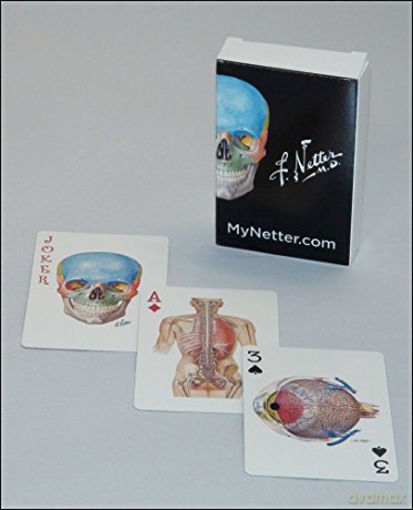 Netter Playing Cards: Netter's Anatomy Art Card Deck - Frank H. Netter MD [KSIĄŻKA]