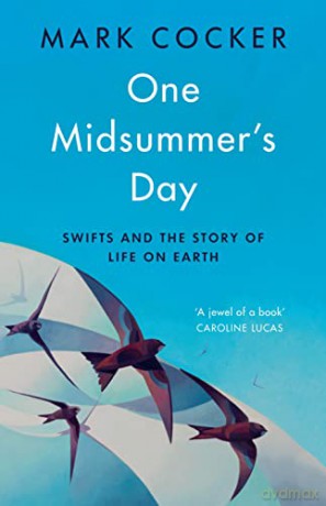 One Midsummer's Day: Swifts and the Story of Life on Earth - Mark Cocker [KSIĄŻKA]