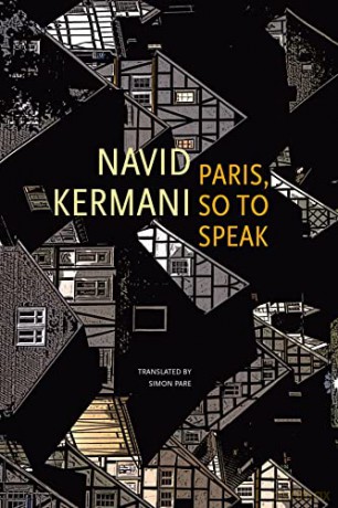 Paris, So to Speak - Wieland Hoban [KSIĄŻKA]