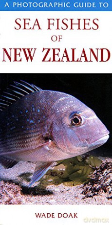 Photographic Guide to Sea Fishes of New Zealand - Wade Doak [KSIĄŻKA]
