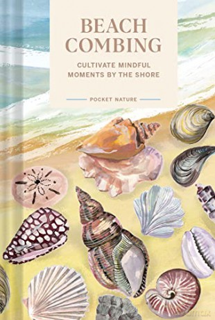 Pocket Nature: Beachcombing: Cultivate Mindful Moments by the Sea - Sadie Small [KSIĄŻKA]