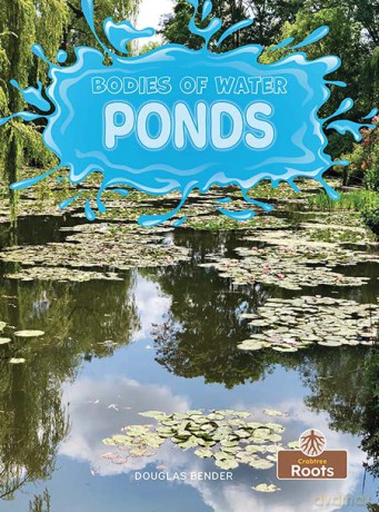 Ponds - Douglas Bender [KSIĄŻKA]