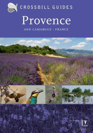 Provence: And Camargue, France - Albert Vliegenthart [KSIĄŻKA]