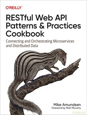 Restful Web API Patterns and Practices Cookbook: Connecting and Orchestrating Microservices and Distributed Data - Mike Amundsen [KSIĄŻKA]