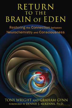 Return To The Brain Of Eden: Restoring the Connection between Neurochemistry and Consciousness - Tony Wright [KSIĄŻKA]