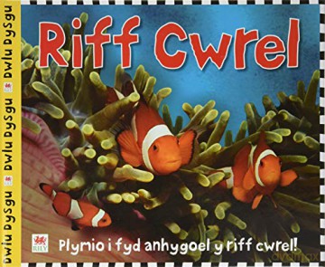 Riff Cwrel - Sarah Powell [KSIĄŻKA]