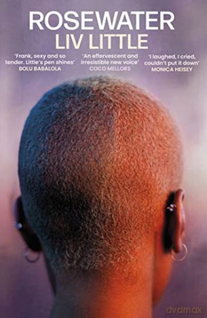Rosewater: the debut novel from Liv Little - Liv Little [KSIĄŻKA]