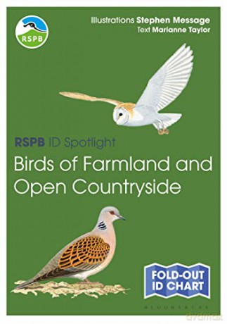 RSPB ID Spotlight - Birds of Farmland and Open Countryside - Marianne Taylor [KSIĄŻKA]