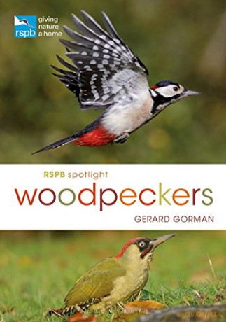RSPB Spotlight Woodpeckers - Gerard Gorman [KSIĄŻKA]