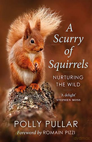 Scurry of Squirrels, A - Polly Pullar [KSIĄŻKA]