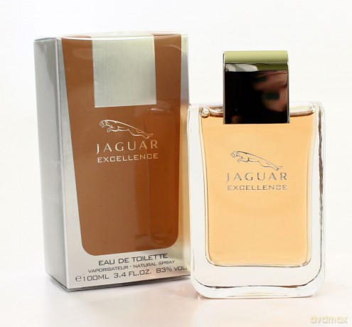 Jaguar Excellence Woda Toaletowa dla Mężczyzny 100ml spray [PERFUMY]
