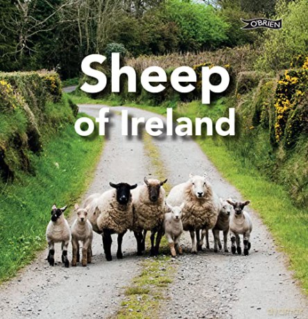 Sheep of Ireland - Sarah O'Connor [KSIĄŻKA]
