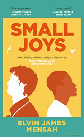 Small Joys: A Buzzfeed 'Amazing New Book You Need to Read ASAP' - Elvin James Mensah [KSIĄŻKA]