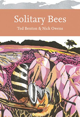 Solitary Bees - Nick Owens [KSIĄŻKA]