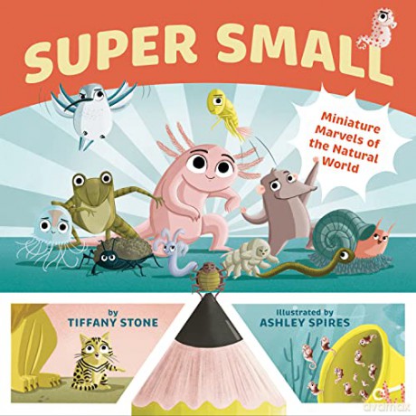 Super Small: Miniature Marvels of the Natural World - Tiffany Stone [KSIĄŻKA]
