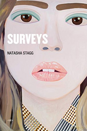 Surveys: A Novel - Chris Kraus [KSIĄŻKA]