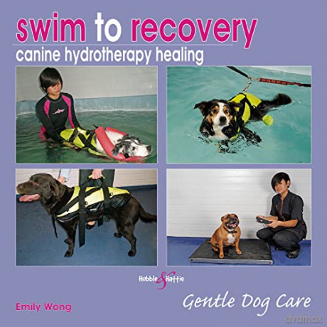 Swim to recovery: canine hydrotherapy healing - Emily Wong [KSIĄŻKA]