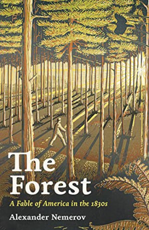 The Forest: A Fable of America in the 1830s - Alexander Nemerov [KSIĄŻKA]