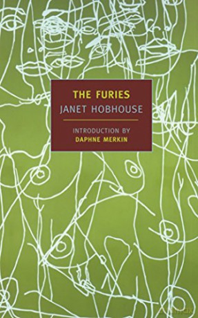 The Furies - Janet Hobhouse [KSIĄŻKA]