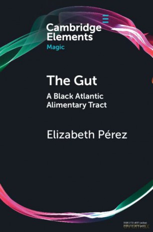 The Gut: A Black Atlantic Alimentary Tract - Elizabeth Pérez [KSIĄŻKA]